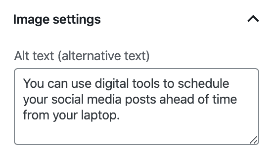 another screenshot of an alt text in WP