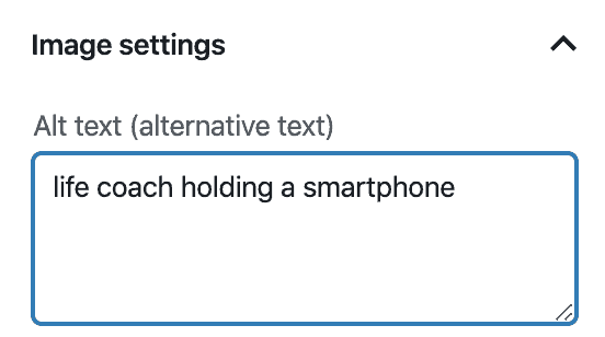 screenshot of alt text for image in WordPress Gutenberg